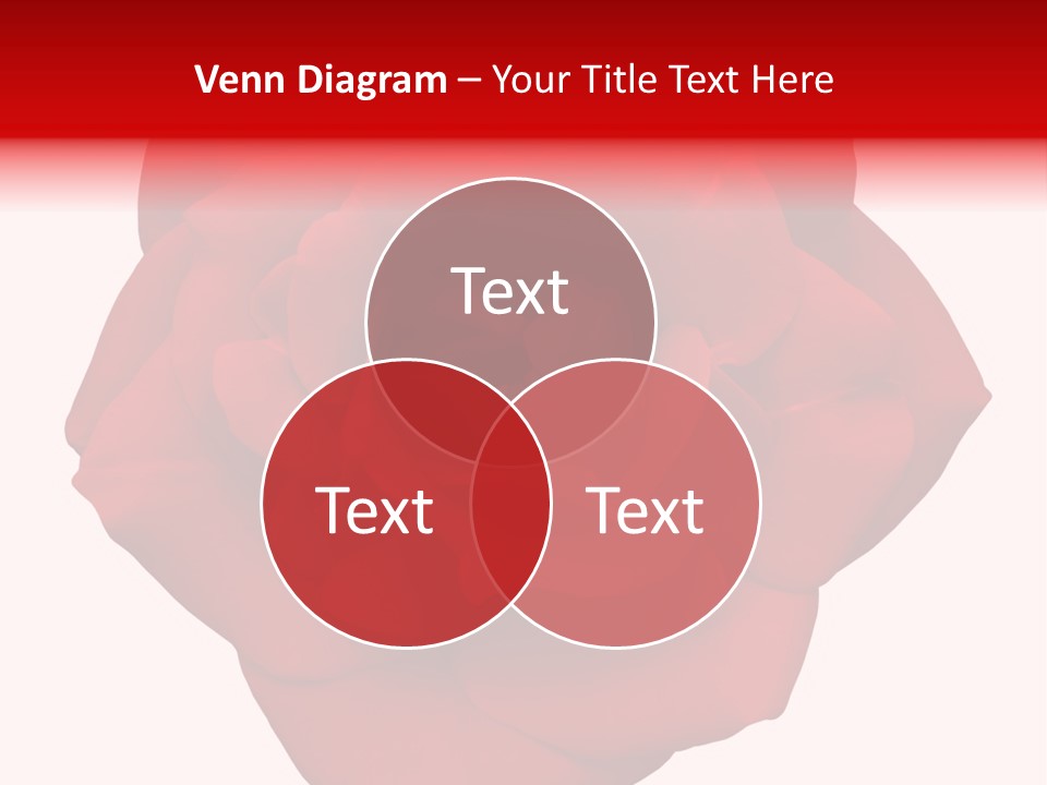 Photography Frame Section PowerPoint Template