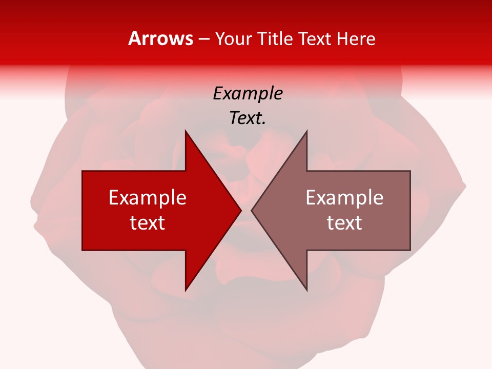 Photography Frame Section PowerPoint Template