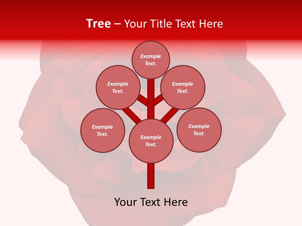 Photography Frame Section PowerPoint Template