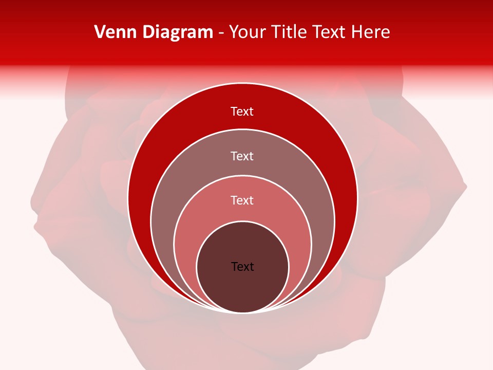 Photography Frame Section PowerPoint Template
