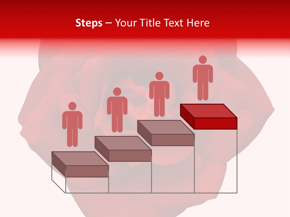 Photography Frame Section PowerPoint Template