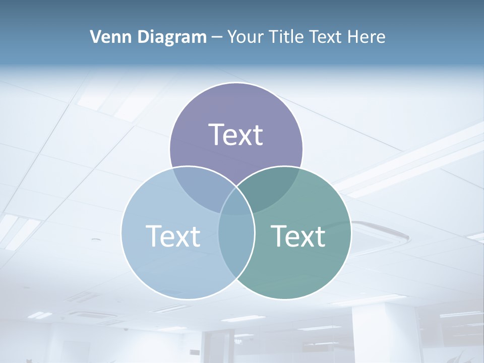 Display Training Learning PowerPoint Template