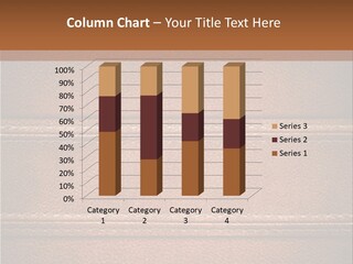 Style Texture Skin PowerPoint Template