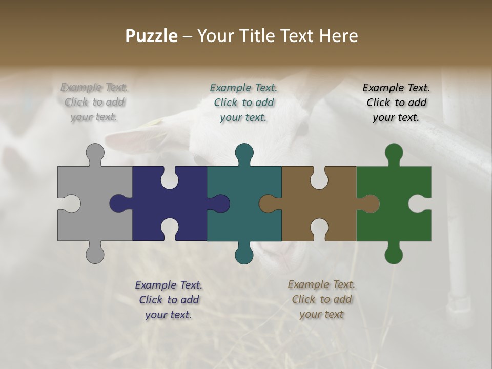 A Group Of Sheep Standing Next To Each Other In A Pen PowerPoint Template