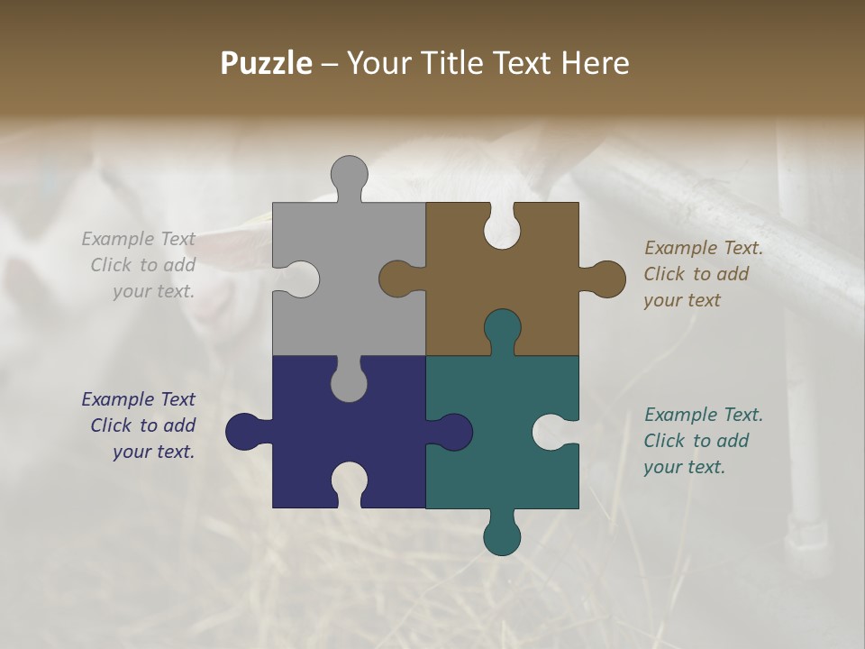 A Group Of Sheep Standing Next To Each Other In A Pen PowerPoint Template