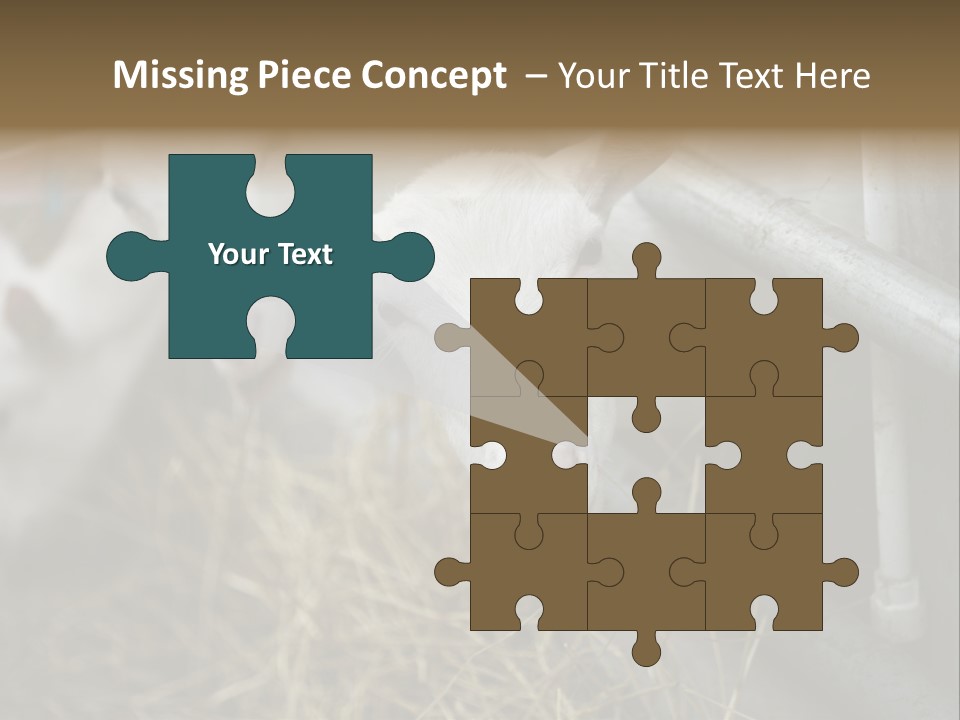 A Group Of Sheep Standing Next To Each Other In A Pen PowerPoint Template