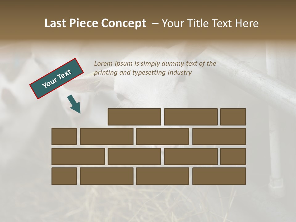 A Group Of Sheep Standing Next To Each Other In A Pen PowerPoint Template