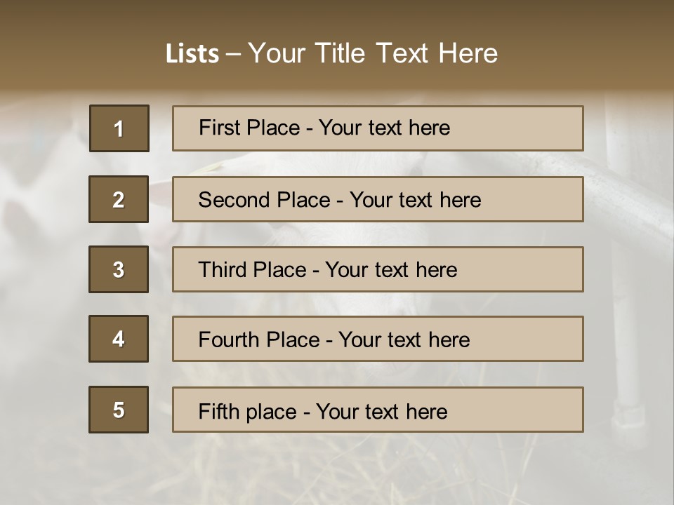 A Group Of Sheep Standing Next To Each Other In A Pen PowerPoint Template