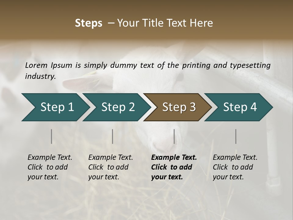 A Group Of Sheep Standing Next To Each Other In A Pen PowerPoint Template