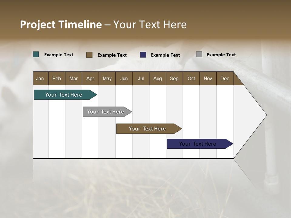 A Group Of Sheep Standing Next To Each Other In A Pen PowerPoint Template