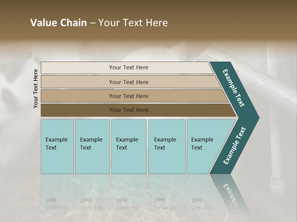 A Group Of Sheep Standing Next To Each Other In A Pen PowerPoint Template