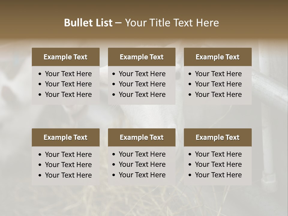 A Group Of Sheep Standing Next To Each Other In A Pen PowerPoint Template