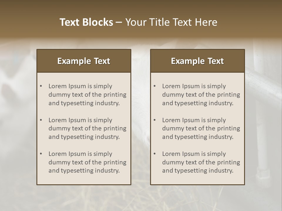 A Group Of Sheep Standing Next To Each Other In A Pen PowerPoint Template
