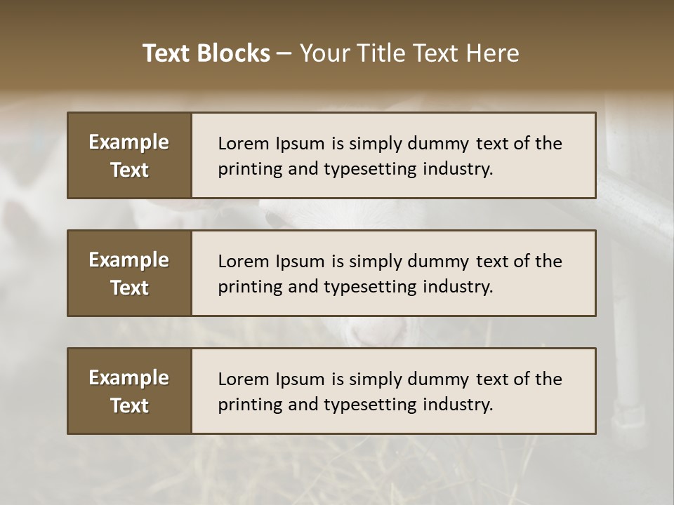A Group Of Sheep Standing Next To Each Other In A Pen PowerPoint Template