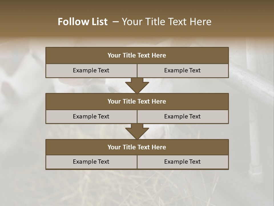 A Group Of Sheep Standing Next To Each Other In A Pen PowerPoint Template