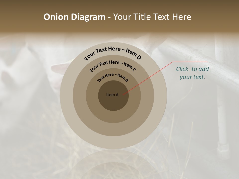 A Group Of Sheep Standing Next To Each Other In A Pen PowerPoint Template