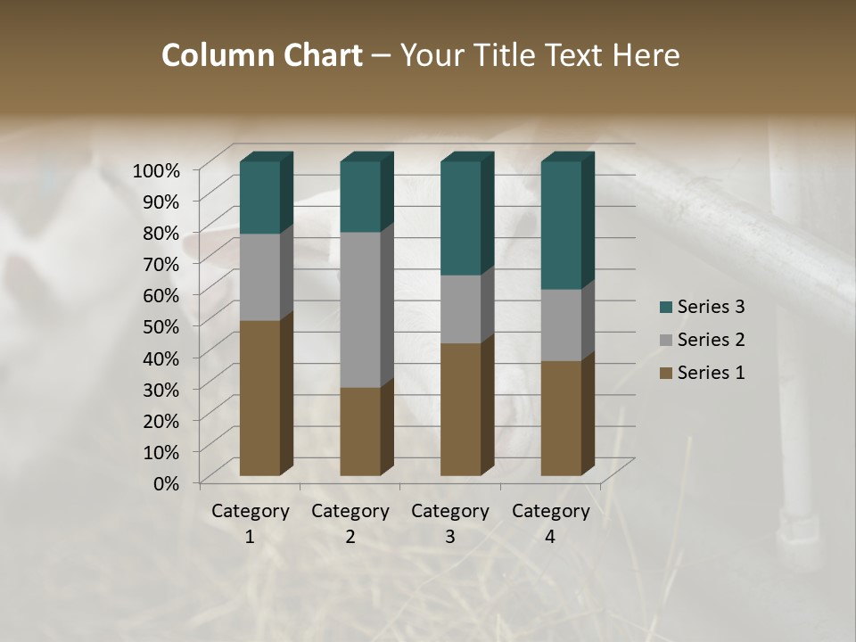 A Group Of Sheep Standing Next To Each Other In A Pen PowerPoint Template
