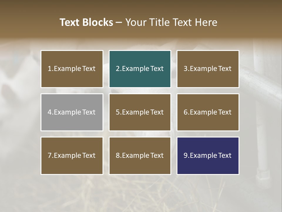 A Group Of Sheep Standing Next To Each Other In A Pen PowerPoint Template