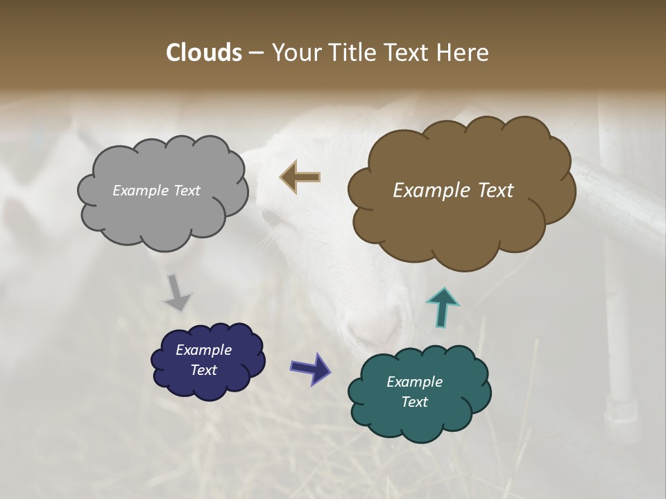 A Group Of Sheep Standing Next To Each Other In A Pen PowerPoint Template