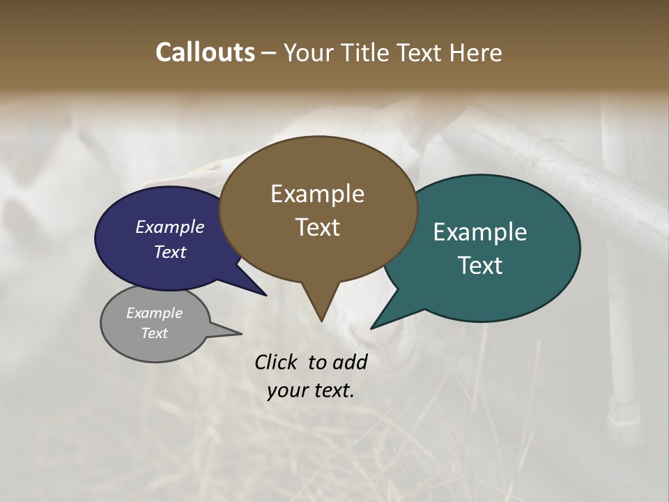 A Group Of Sheep Standing Next To Each Other In A Pen PowerPoint Template