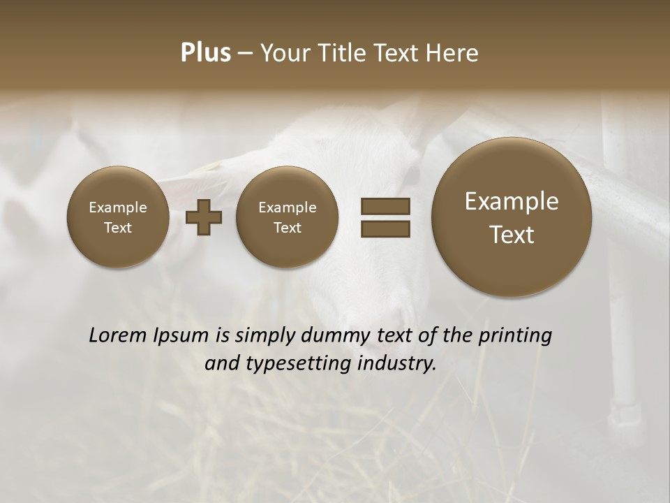A Group Of Sheep Standing Next To Each Other In A Pen PowerPoint Template