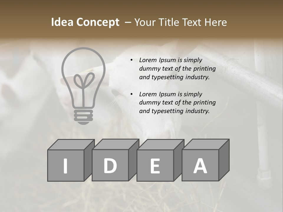 A Group Of Sheep Standing Next To Each Other In A Pen PowerPoint Template