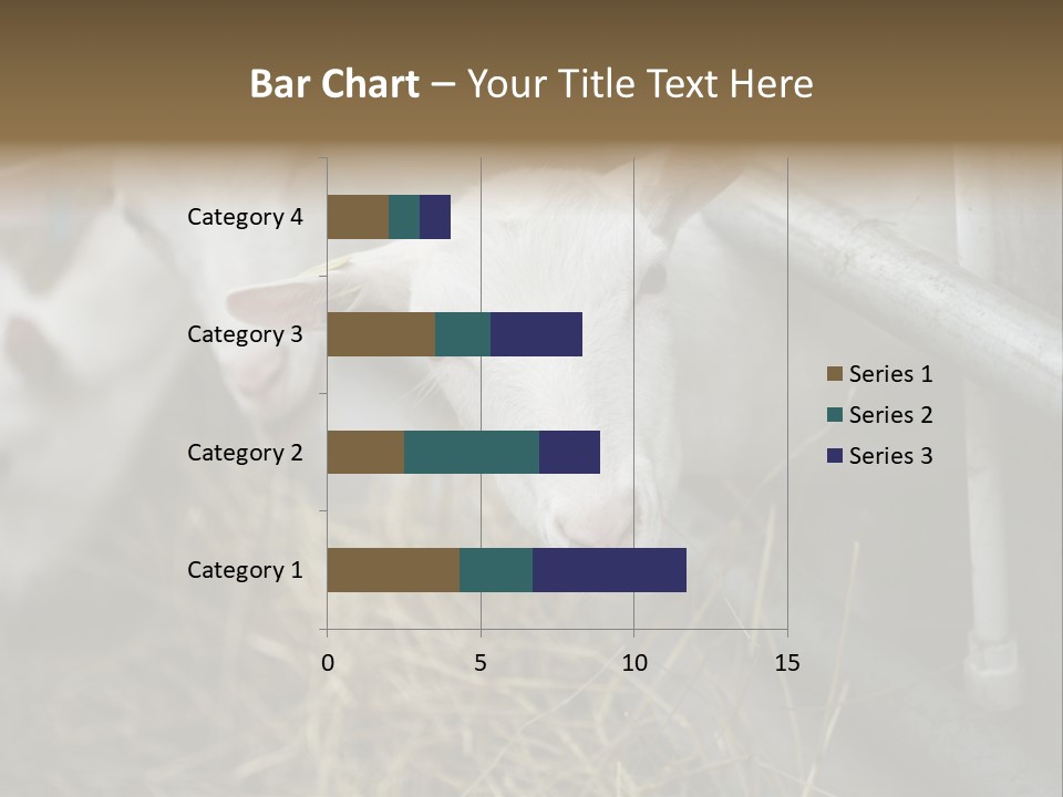 A Group Of Sheep Standing Next To Each Other In A Pen PowerPoint Template