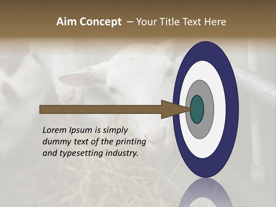 A Group Of Sheep Standing Next To Each Other In A Pen PowerPoint Template