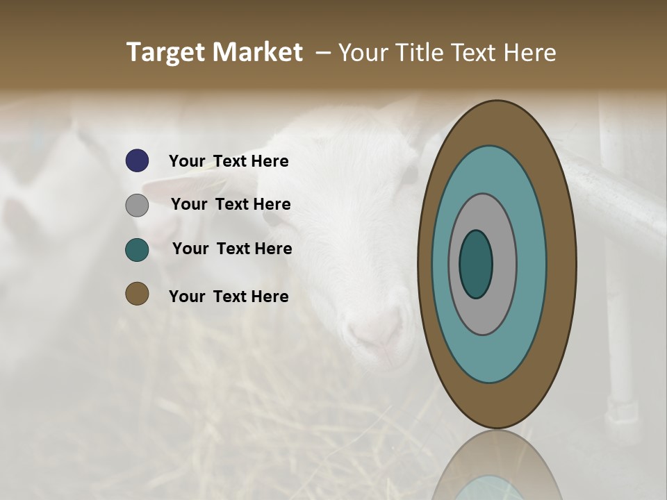 A Group Of Sheep Standing Next To Each Other In A Pen PowerPoint Template