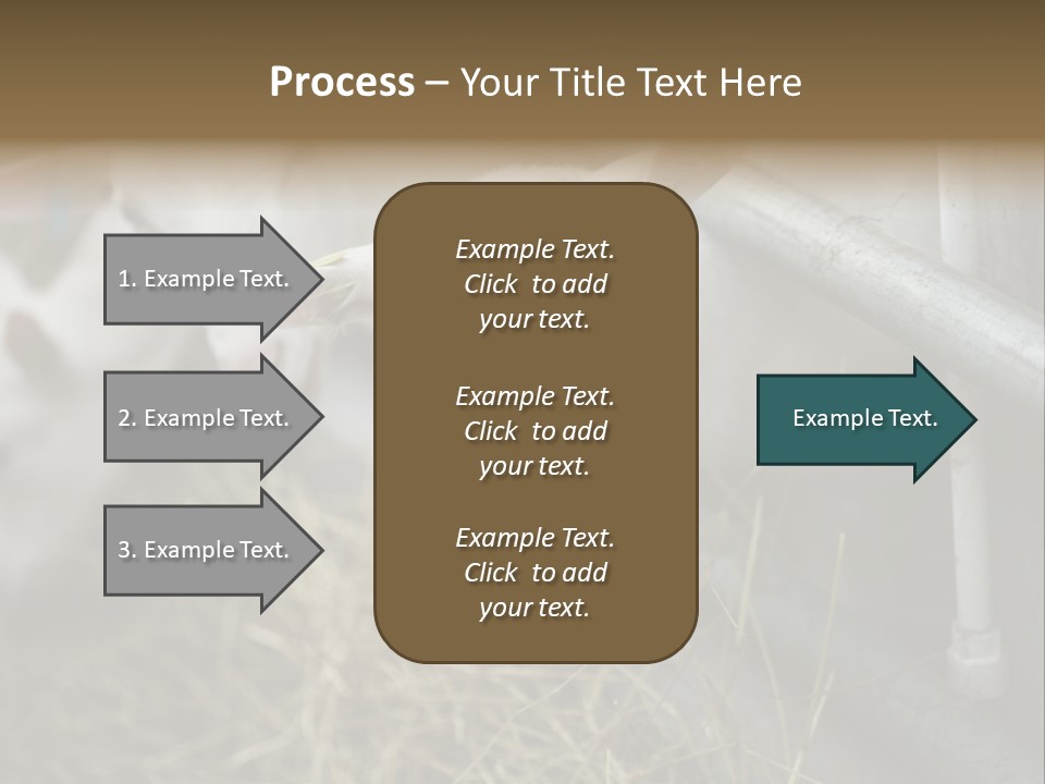 A Group Of Sheep Standing Next To Each Other In A Pen PowerPoint Template