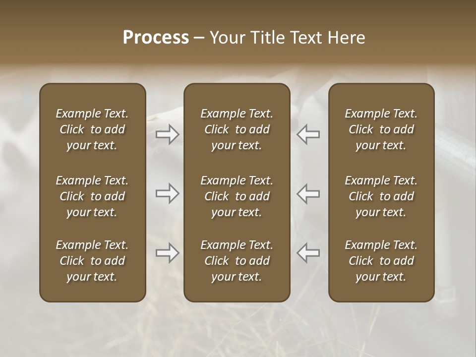 A Group Of Sheep Standing Next To Each Other In A Pen PowerPoint Template