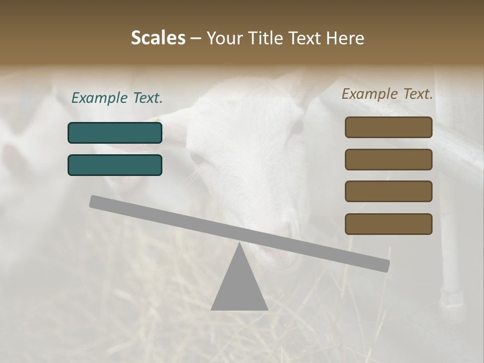 A Group Of Sheep Standing Next To Each Other In A Pen PowerPoint Template