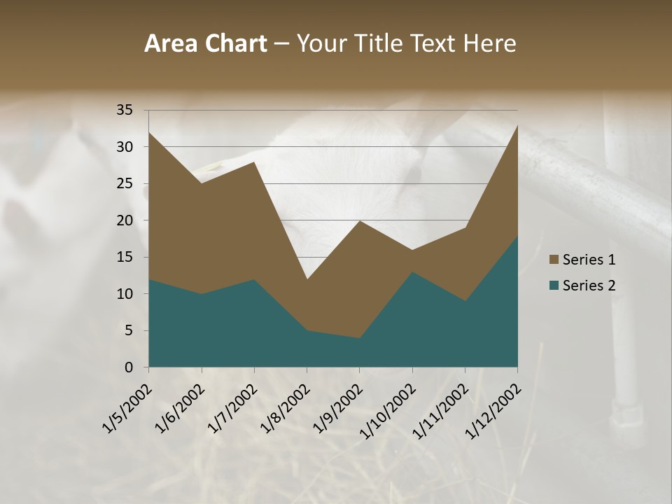 A Group Of Sheep Standing Next To Each Other In A Pen PowerPoint Template