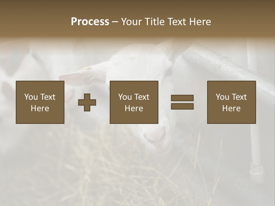 A Group Of Sheep Standing Next To Each Other In A Pen PowerPoint Template