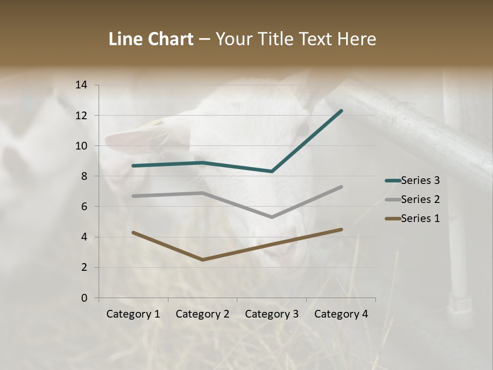 A Group Of Sheep Standing Next To Each Other In A Pen PowerPoint Template