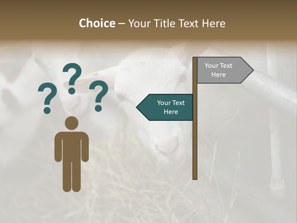 A Group Of Sheep Standing Next To Each Other In A Pen PowerPoint Template