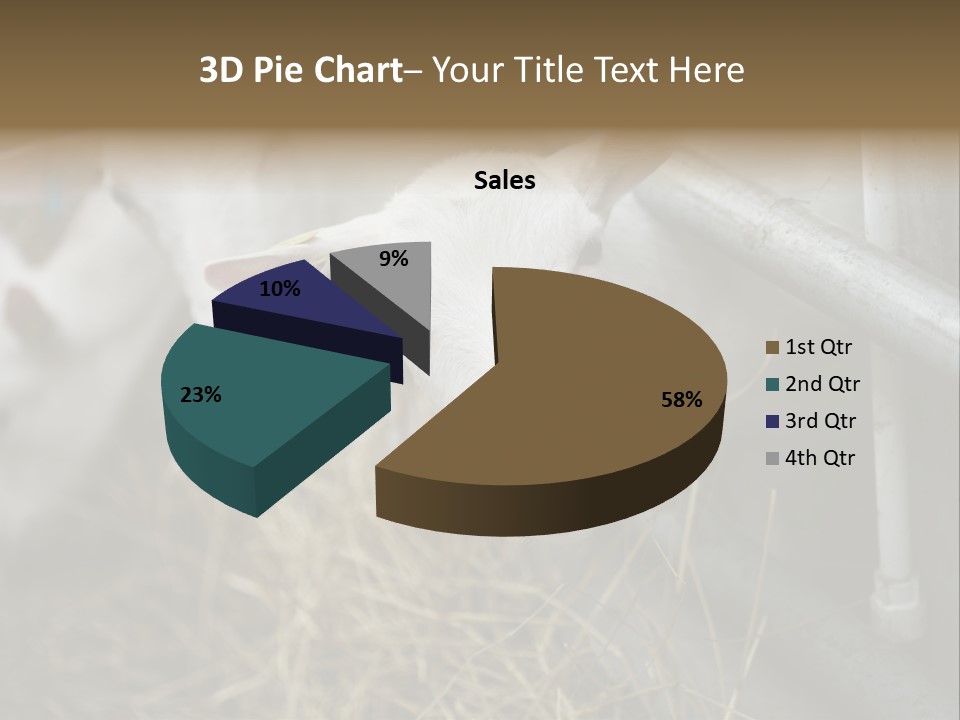 A Group Of Sheep Standing Next To Each Other In A Pen PowerPoint Template