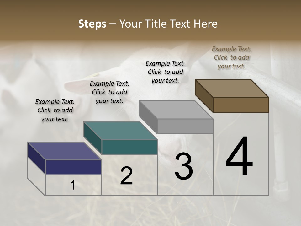 A Group Of Sheep Standing Next To Each Other In A Pen PowerPoint Template