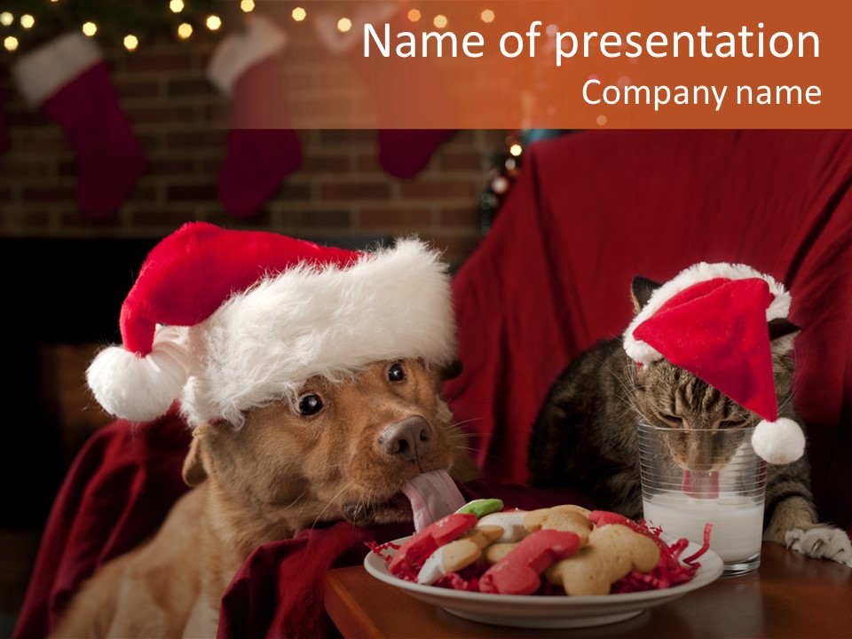 A Cat And A Dog Sitting At A Table With A Plate Of Food PowerPoint Template