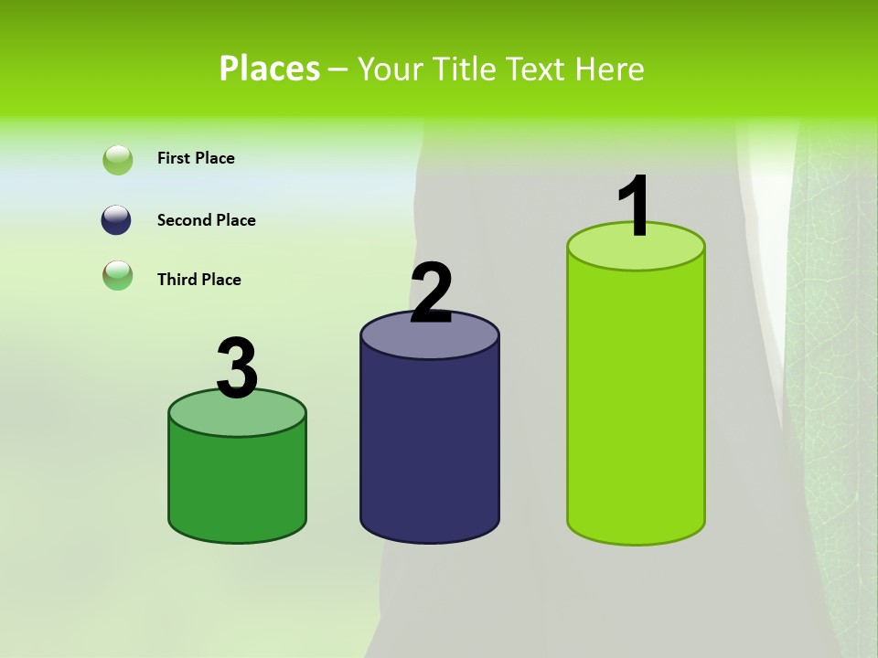 Summer Cork Land PowerPoint Template