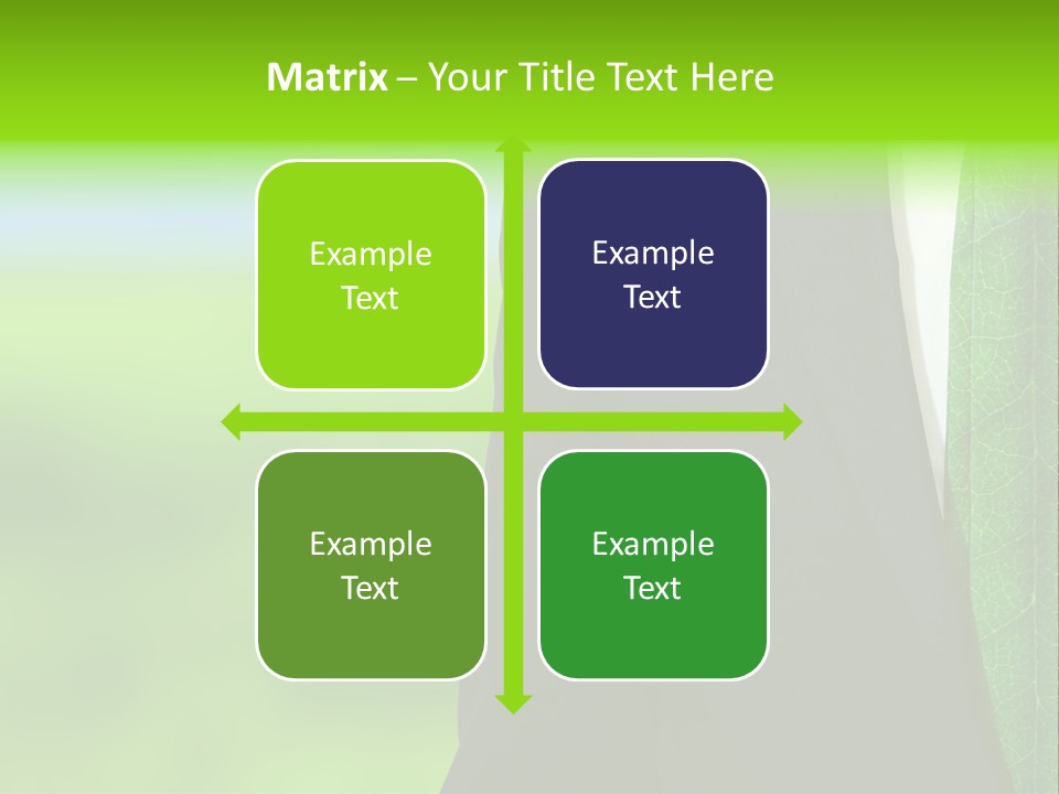 Summer Cork Land PowerPoint Template