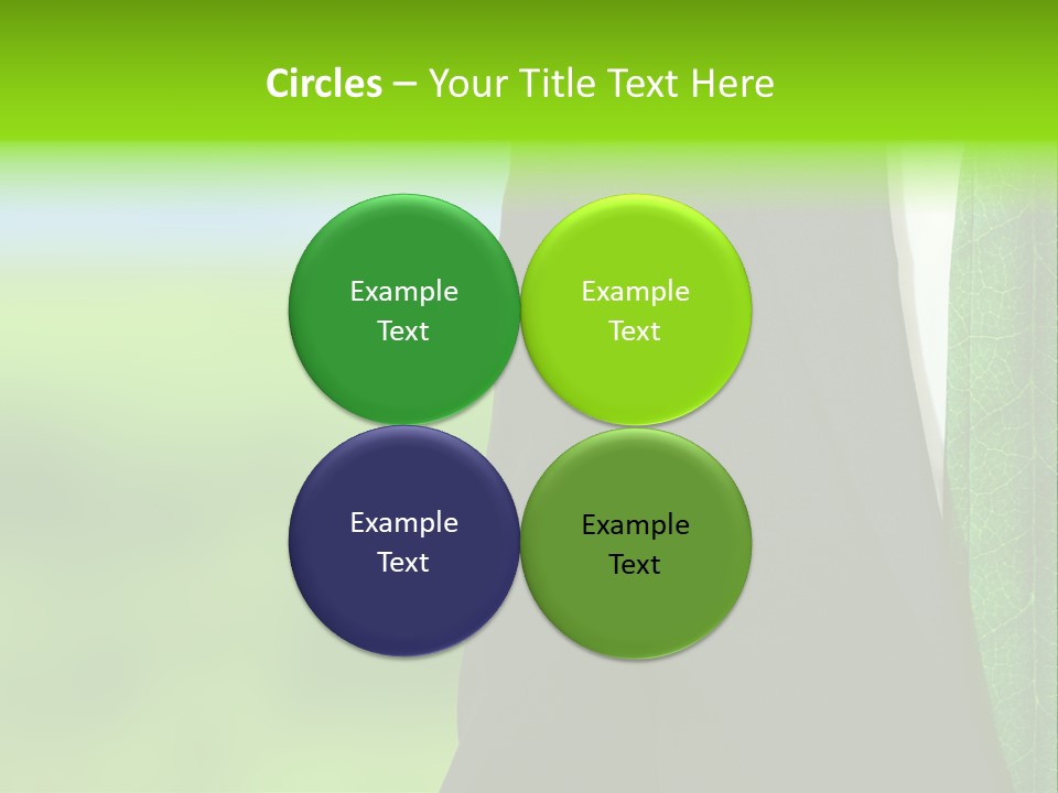 Summer Cork Land PowerPoint Template