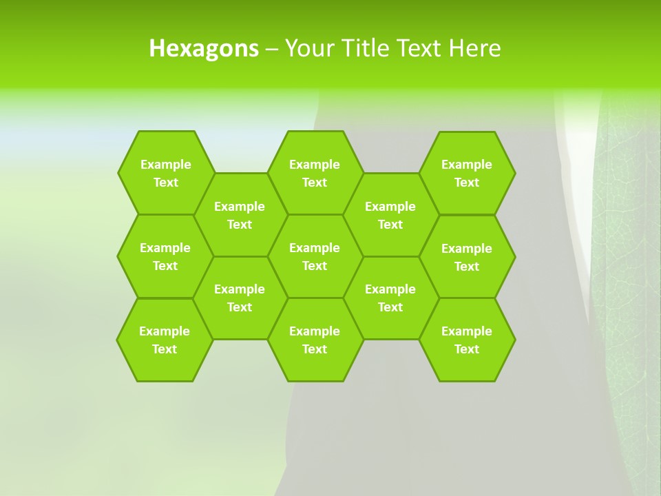 Summer Cork Land PowerPoint Template