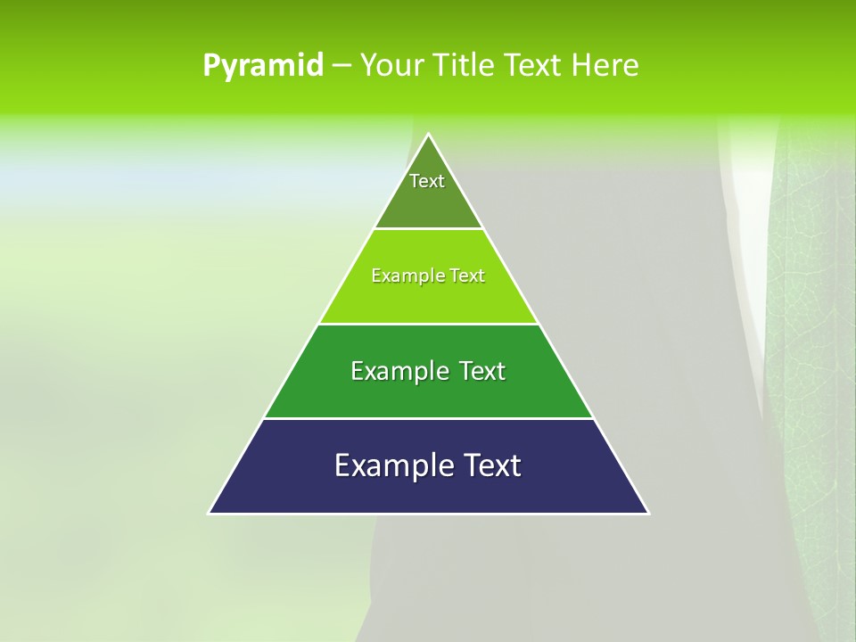 Summer Cork Land PowerPoint Template