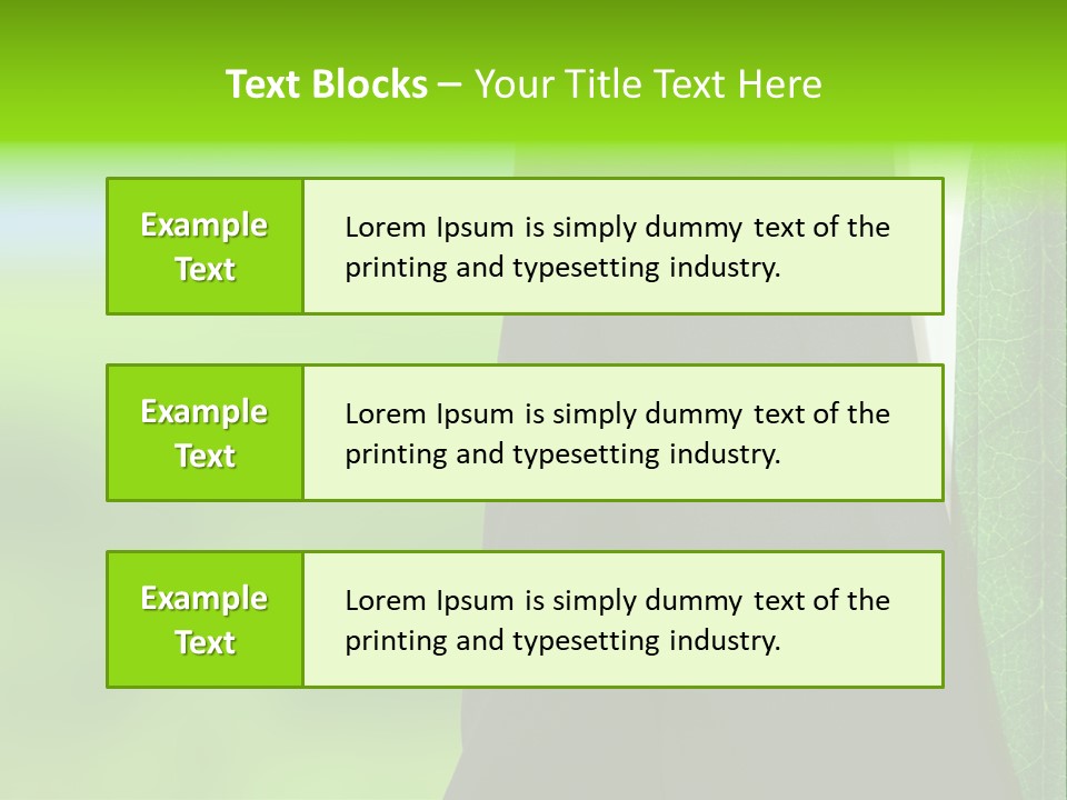 Summer Cork Land PowerPoint Template