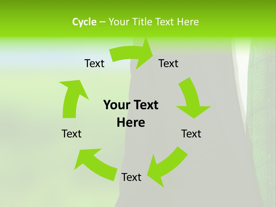 Summer Cork Land PowerPoint Template