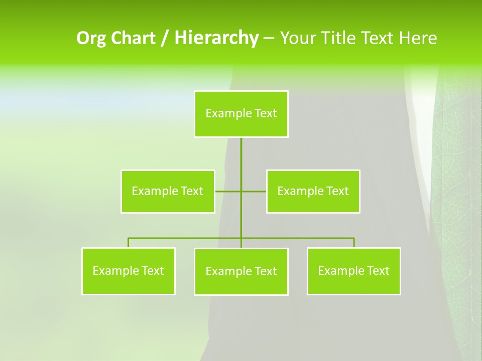 Summer Cork Land PowerPoint Template