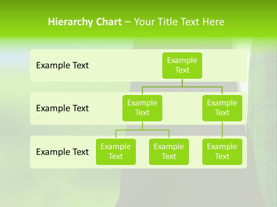 Summer Cork Land PowerPoint Template