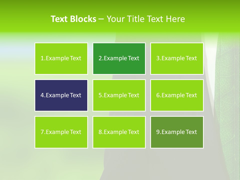 Summer Cork Land PowerPoint Template
