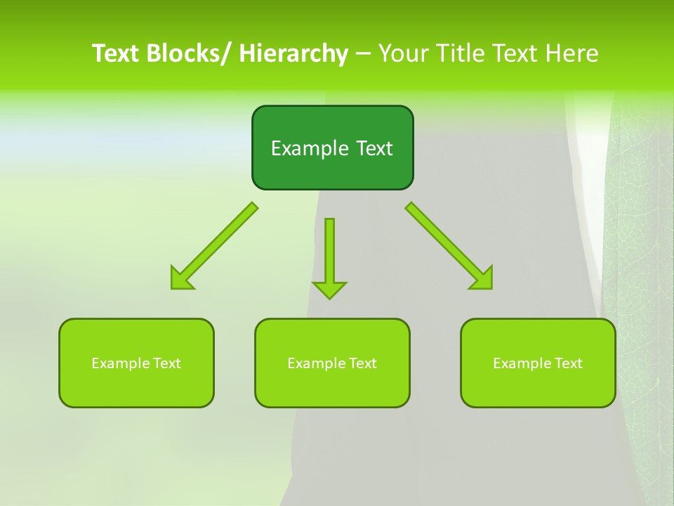 Summer Cork Land PowerPoint Template